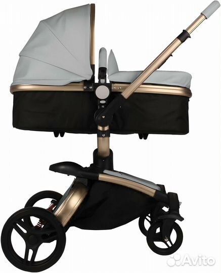 Коляска 2 в 1 Max of aulon