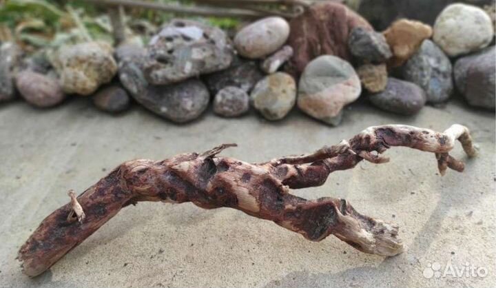 Пни и коряги для аквариумистики