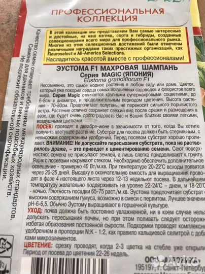 Рассада эустомы