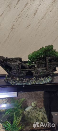 Декор и грунт