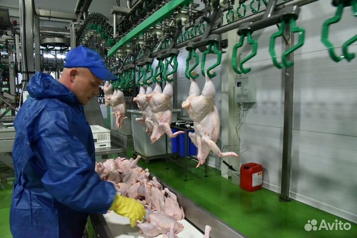 Сортировщик на линию - вахта в Челябинской обл
