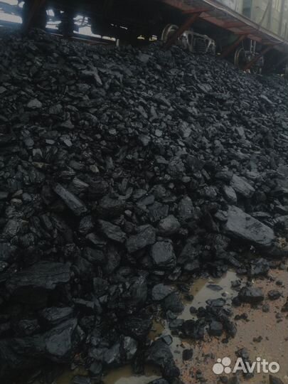 Сспк уголь для вашего дома