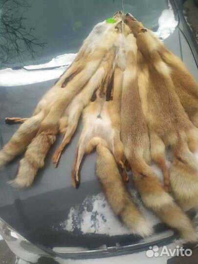 Лисьи шкуры (Мех лисы)