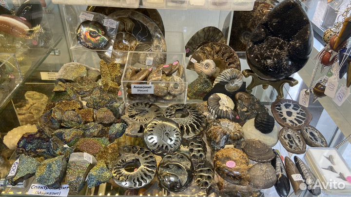 Аммонит спектропирит