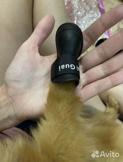 Ботинки для маленьких собак