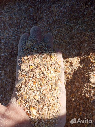 Зерноотход кукурузы