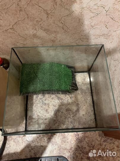 Терариум для черепах