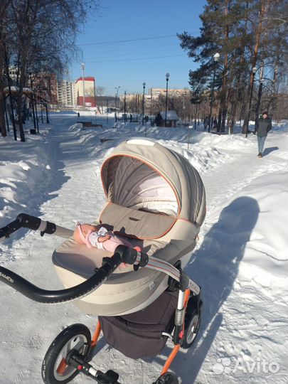 Коляска 2 в 1 Adamex Aspena Deluxe