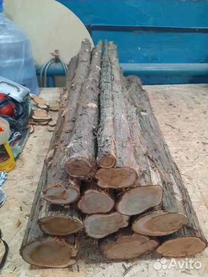 Можжевельник