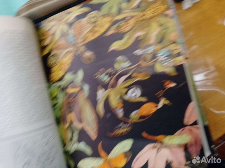 Энциклопедия жизнь животных 1969гг