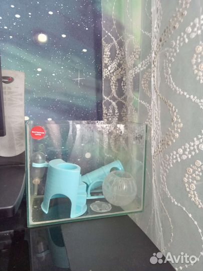 Всё для грызунов