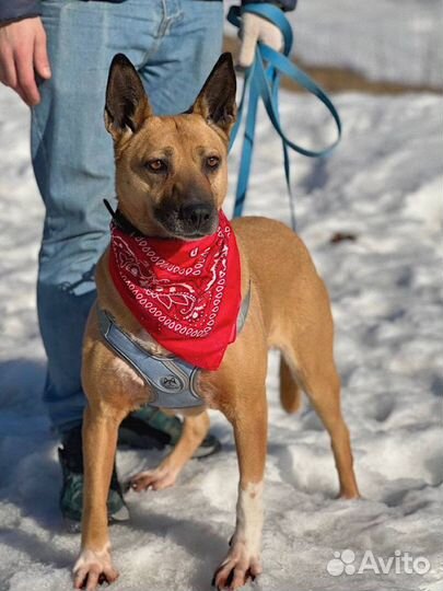 Влт такая девочка ищет дом, маму и папу