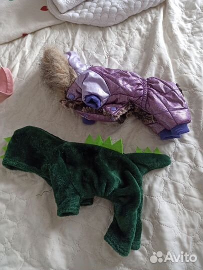 Одежда для маленьких собак xs
