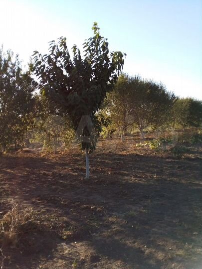 Участок 13,8 га (ИЖС)