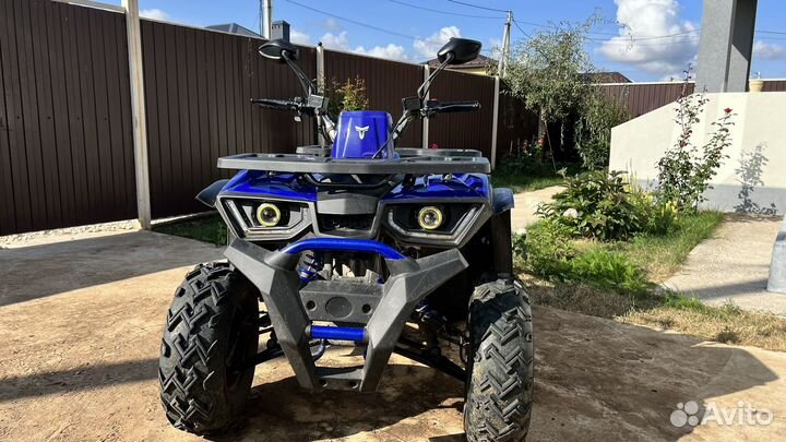 Квадроцикл Avantis