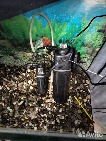 Аквариум 80 литров с оборудованием
