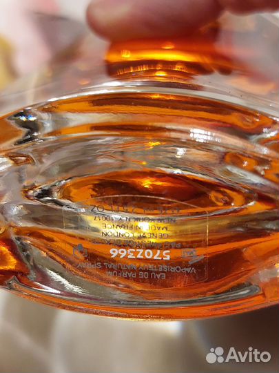 Lancome, Nina Ricci,DG,Wood for herdsquared²