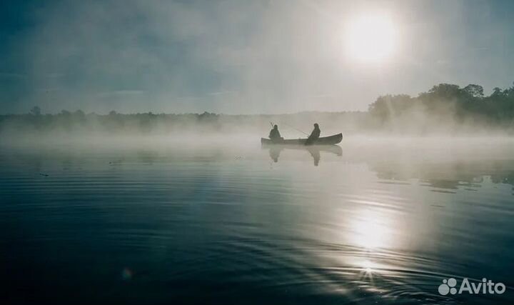 Проживание в глэмпинге «зебирск»