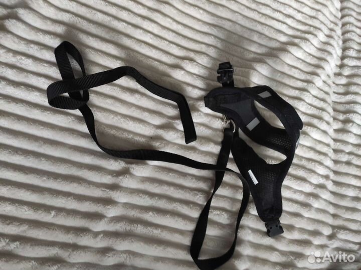 Ошейник для кошек