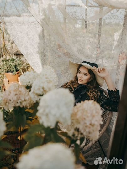 Гортензия метельчатая