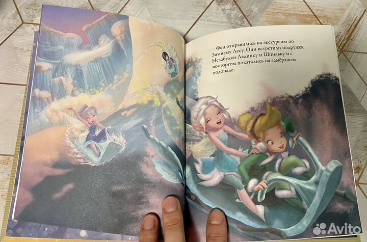 Книга феи тайна зимнего леса