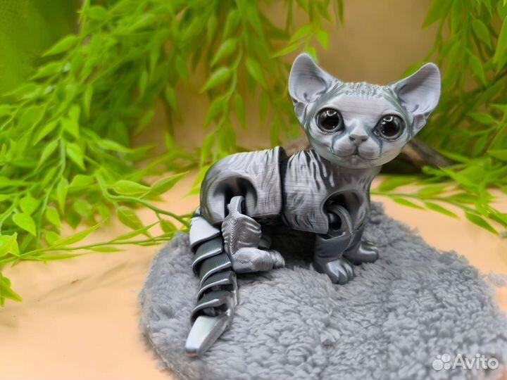 Котята сфинкса