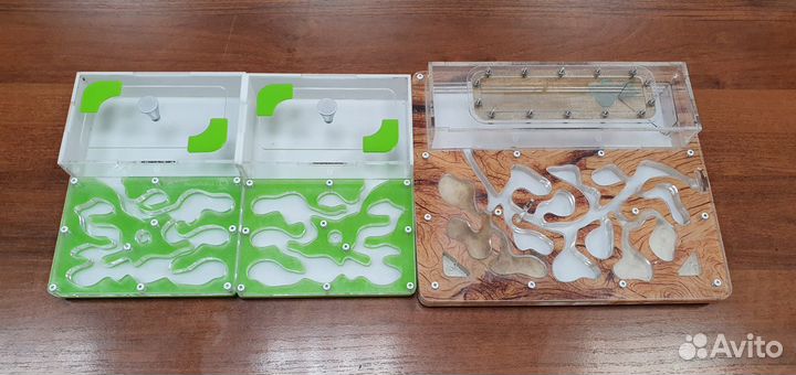 Продам формикарии для муравъев