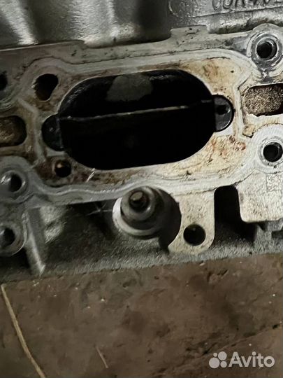 Головка блока (гбц) audi A4 с распредвалами