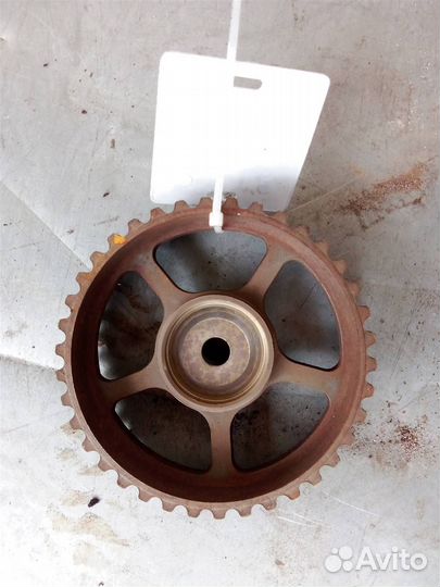Шестерня (шкив) распредвала от Ford Focus II 2005
