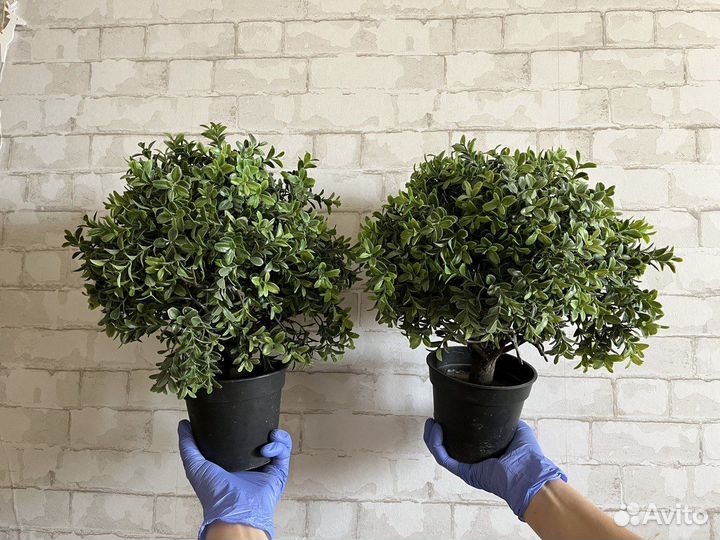 Искусственные растения в горшках