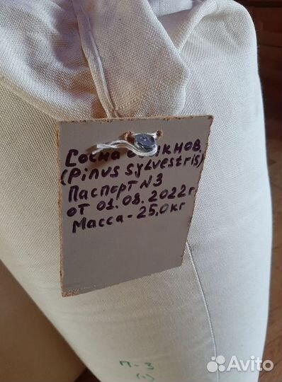 Семена ели от производителя