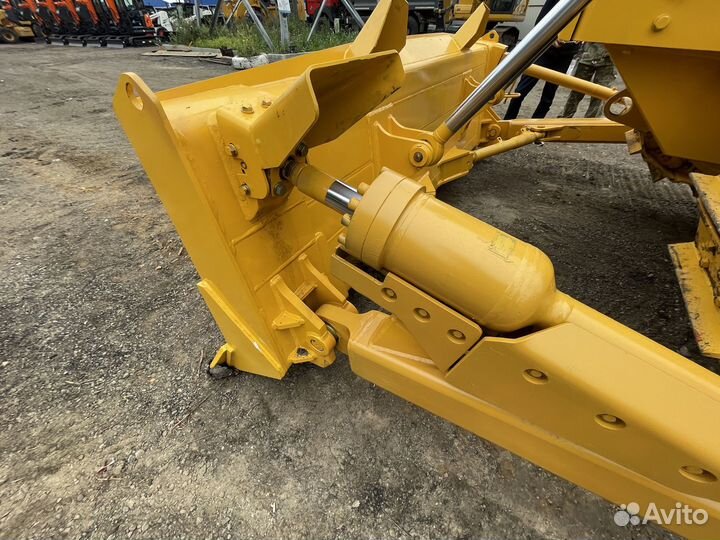 Beezone D16-5, 2024