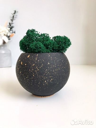 Кашпо с декоративным мхом