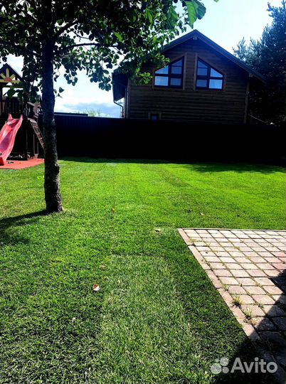 Рулонный газон от производителя