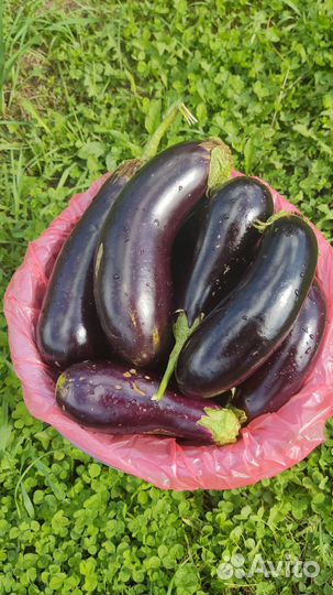 Перец болгарский и баклажаны оптом