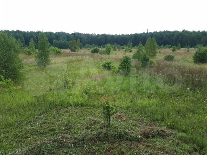 Участок 3,84 га (СНТ, ДНП)