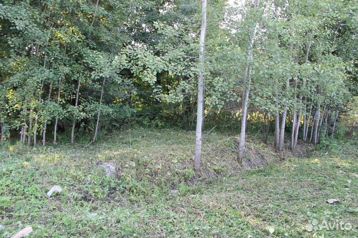 Измельчитель веток (дробление)