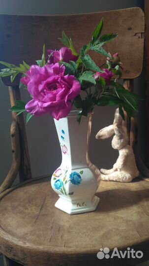 Пион древовидный,деленки