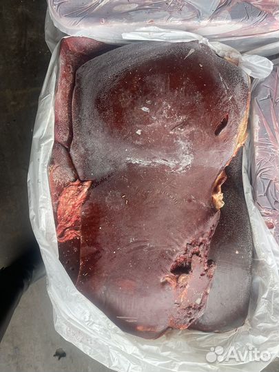 Мясо для собак