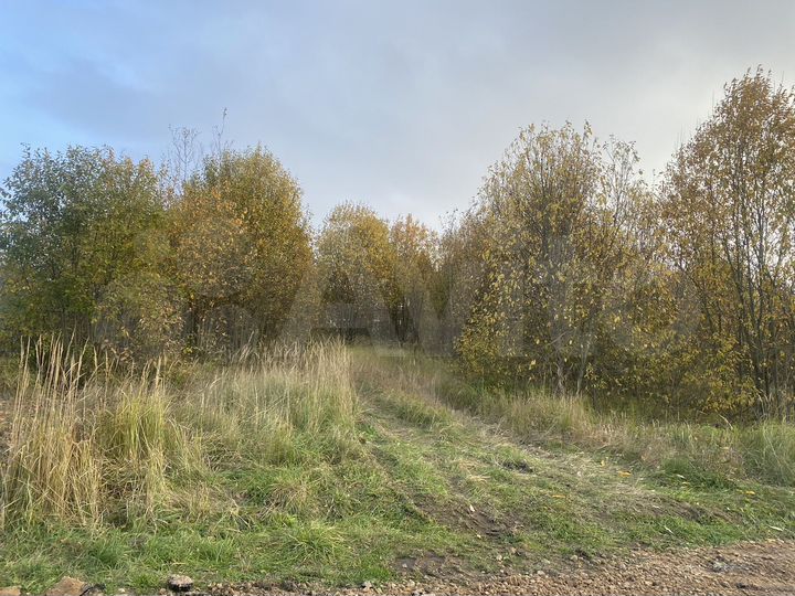 Участок 10 сот. (ИЖС)