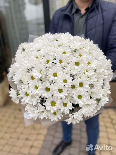 Букет из 25 хризантем