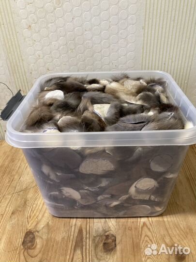 Лоскут натурального меха соболя 1,3 кг