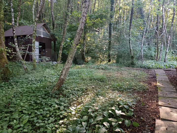 Участок 100 сот. (СНТ, ДНП)