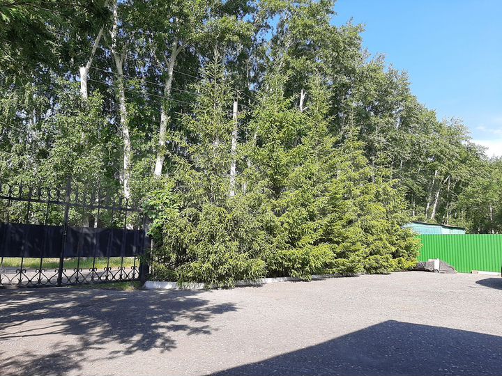 Дача 20 м² на участке 10 сот.