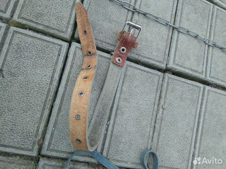 Ошейник,намордник,поводок собаке