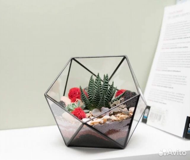 Флорариум. Мастер-классы