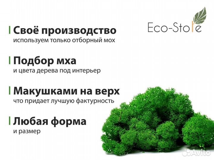 Логотип буквы со мхом