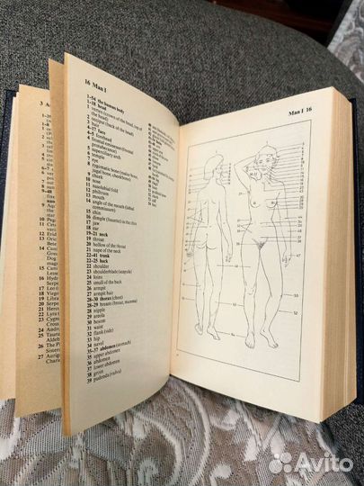 The Oxford-Duden Pictorial English Dictionary