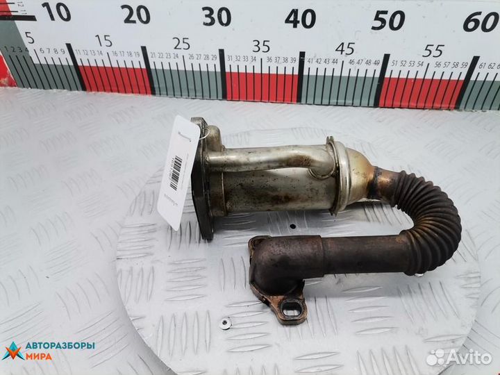 Охладитель EGR / Радиатор EGR Nissan Qashqai+2