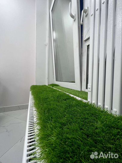 Помещение для проведения мероприятий